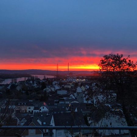 Zum schönen Ausblick Weissenthurm Exterior foto