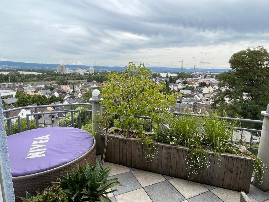 Zum schönen Ausblick Weissenthurm Exterior foto